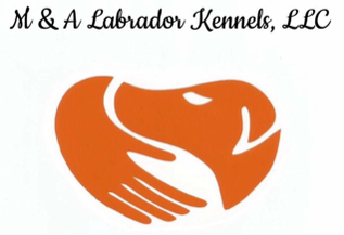 M & A Labrador Kennels, LLC